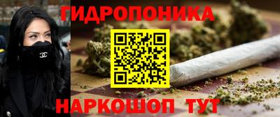 прущие грибы Апшеронск