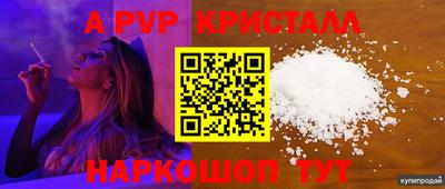 прущие грибы Апшеронск