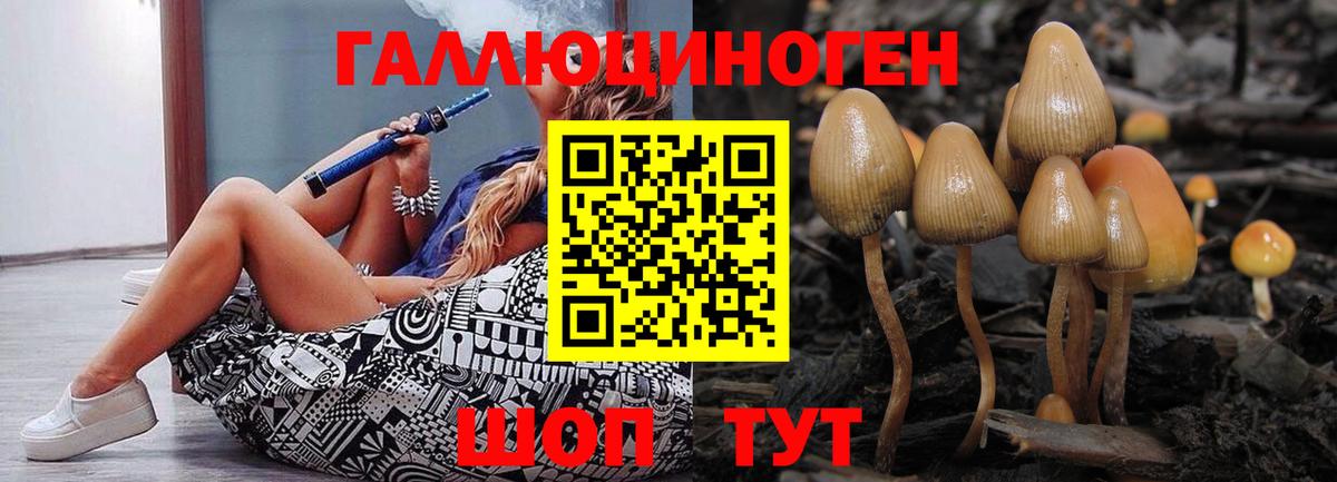 Галлюциногенные грибы Cubensis  Вход с VPN  Батайск 